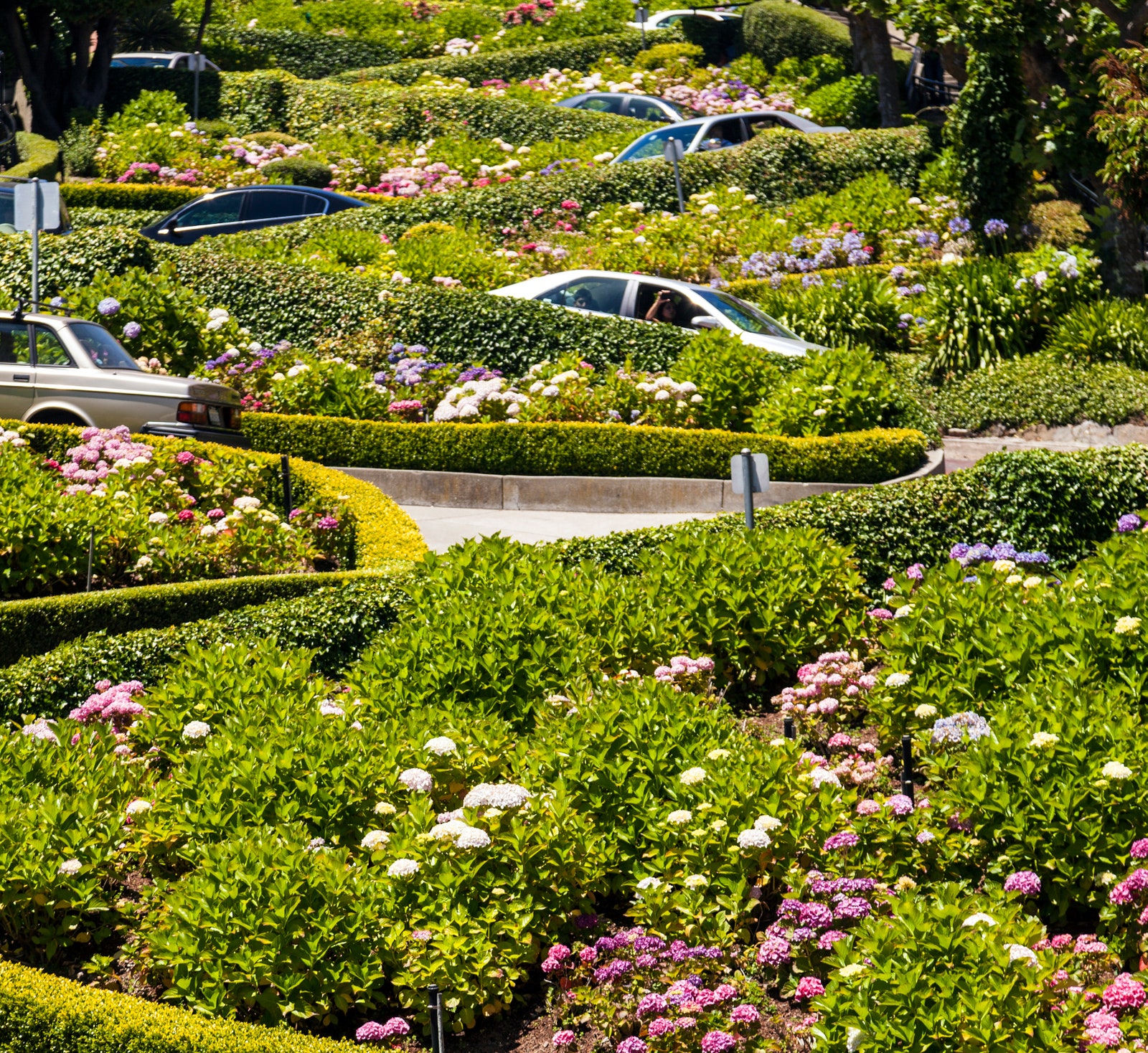 Lombard Street, San Francisco / Foto: Meinzahn / Getty Images