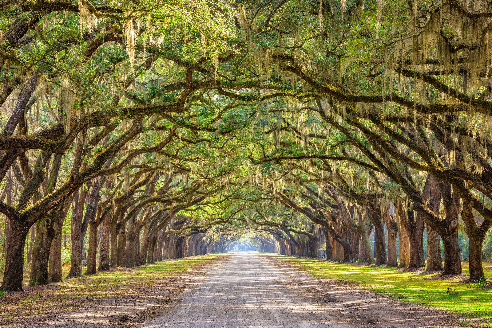 Savannah, Georgia / Foto: Sean Pavone / Getty Images.