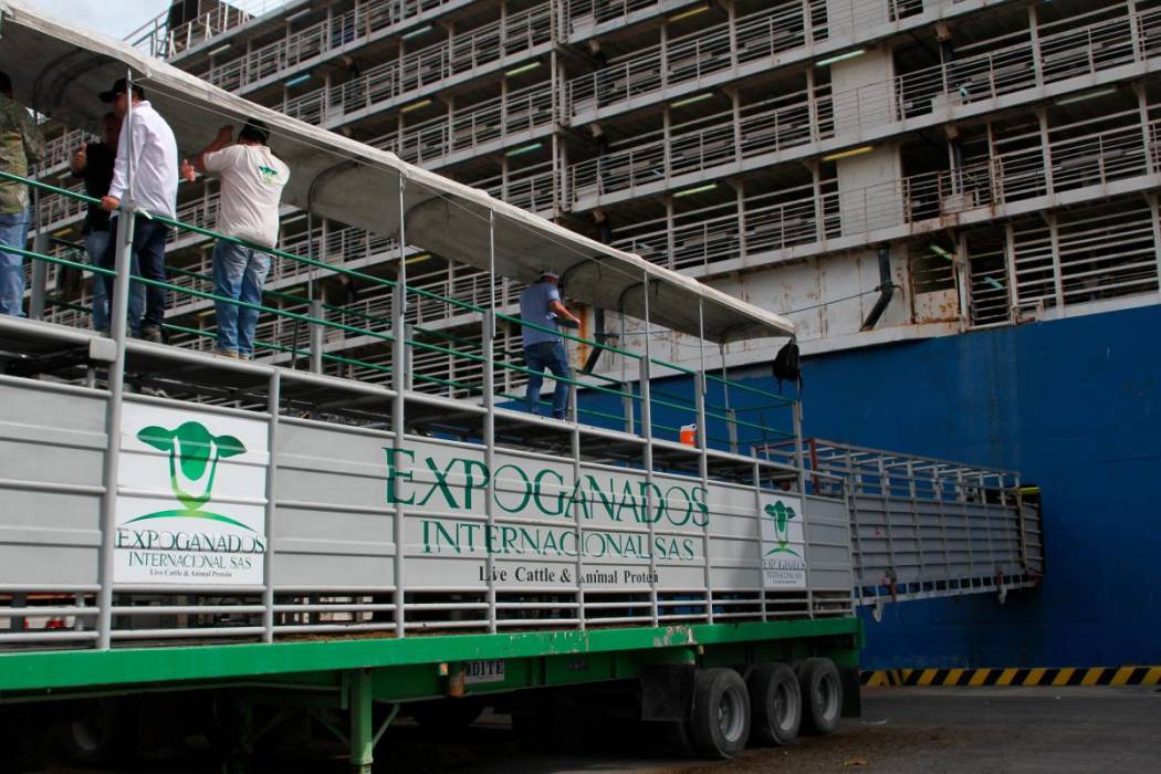 Expoganados Internacional