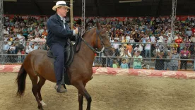 Uribe-Feria-Flores