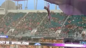 ¡De película! Gato sobrevivió a caída en un estadio de fútbol americano 