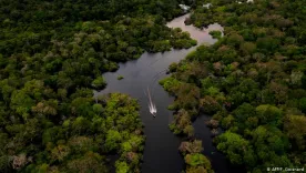 65 defensores del medio ambiente fueron asesinados en Colombia