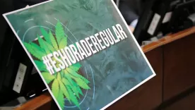 Regulación cannabis senado