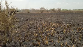 INCENDIO MONTERÍA