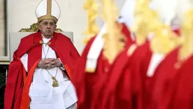 Papa Francisco Domingo de Ramos 2024