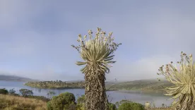 Parque-Natural-Cortadera