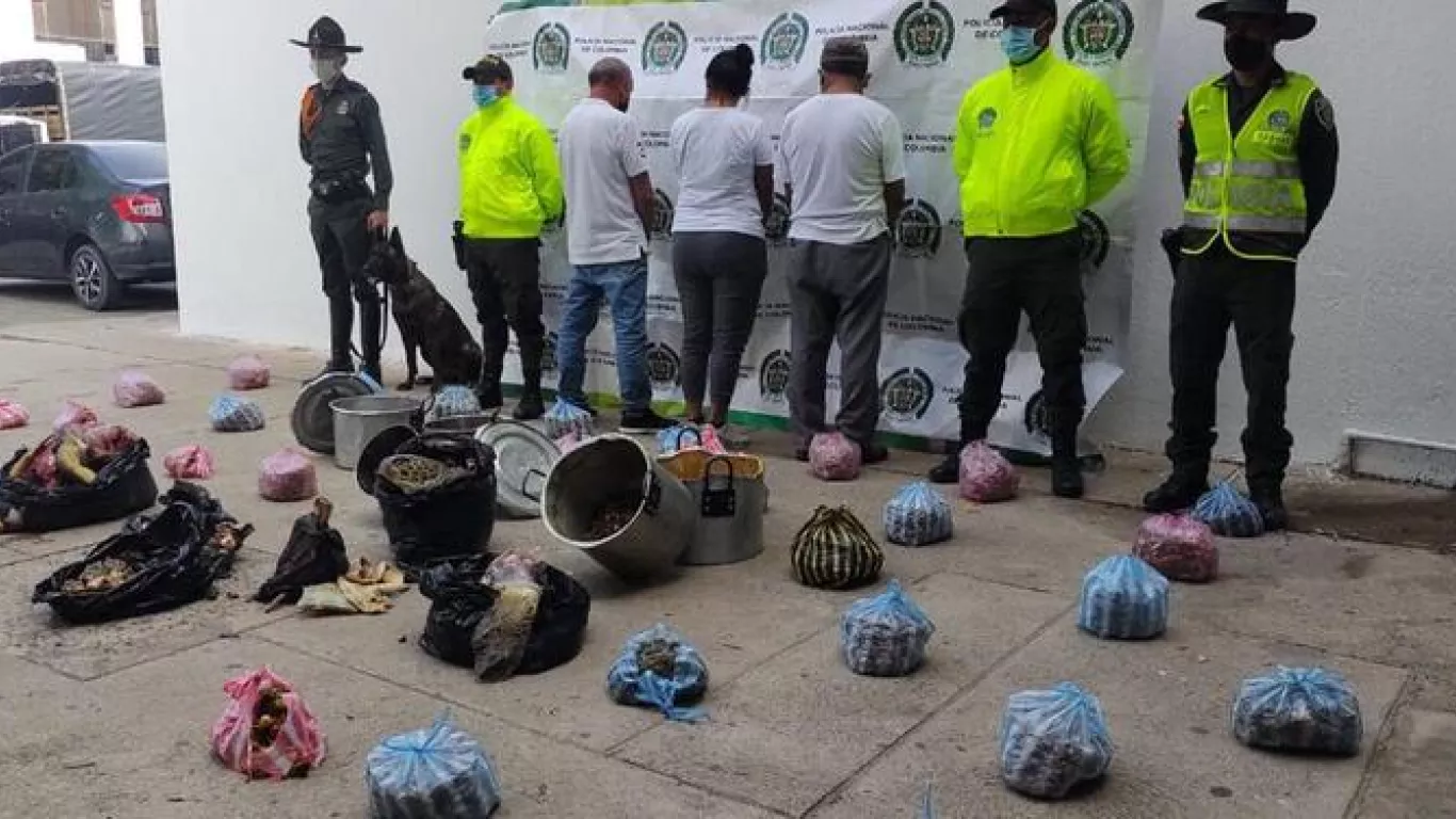 Tres personas capturadas por tráfico de tortugas carey