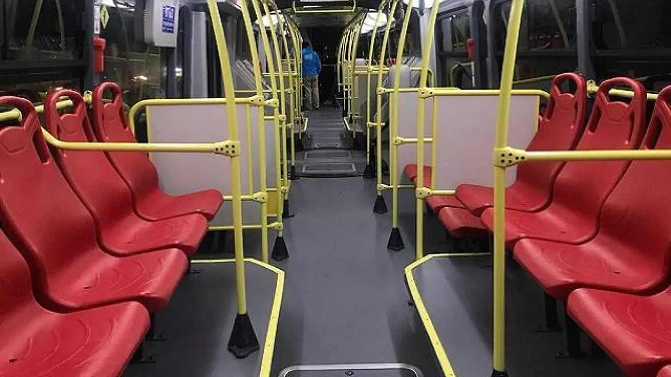 Granada en el articulado