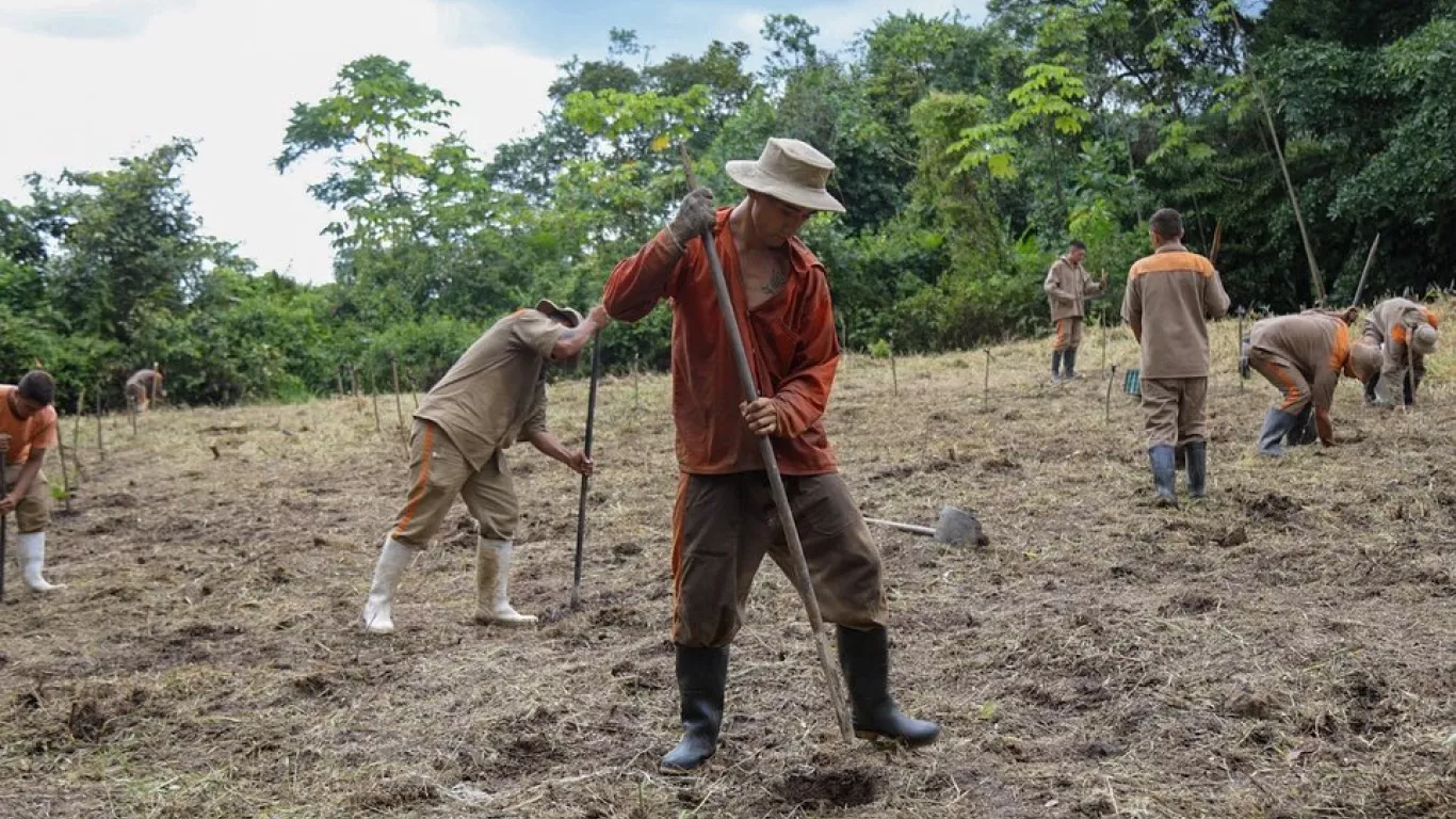 Campesinos cultivando tierra