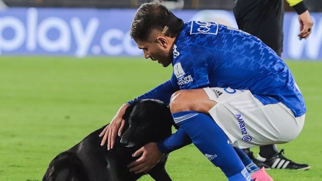 Millonarios FC 11 canino