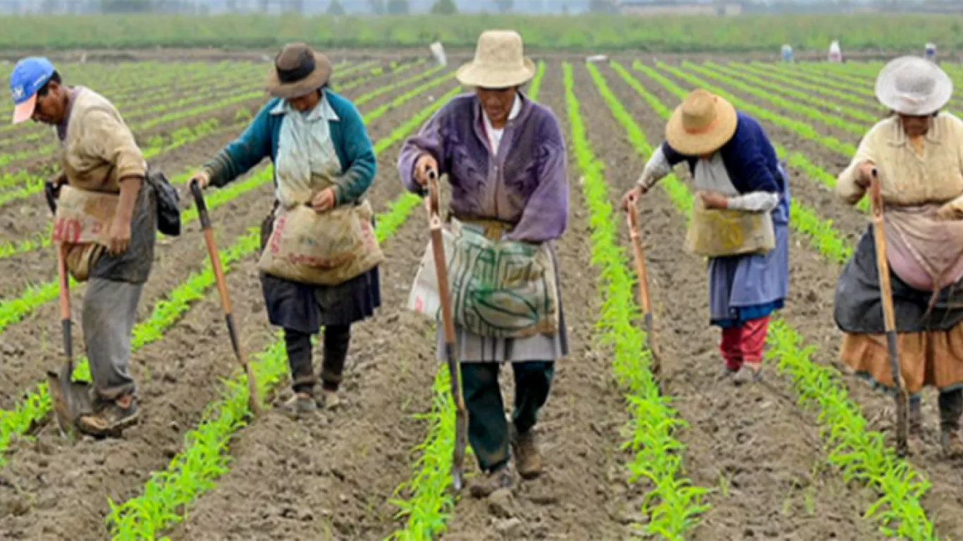 ¿Cómo se comprarán las hectáreas que el Gobierno plantea en la reforma agraria?