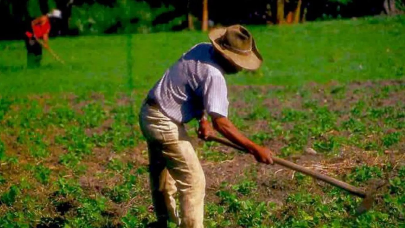 Expropiación de tierras 